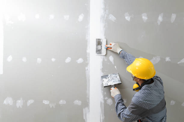 Professional Painting & Drywall Installation in Murphy, MO